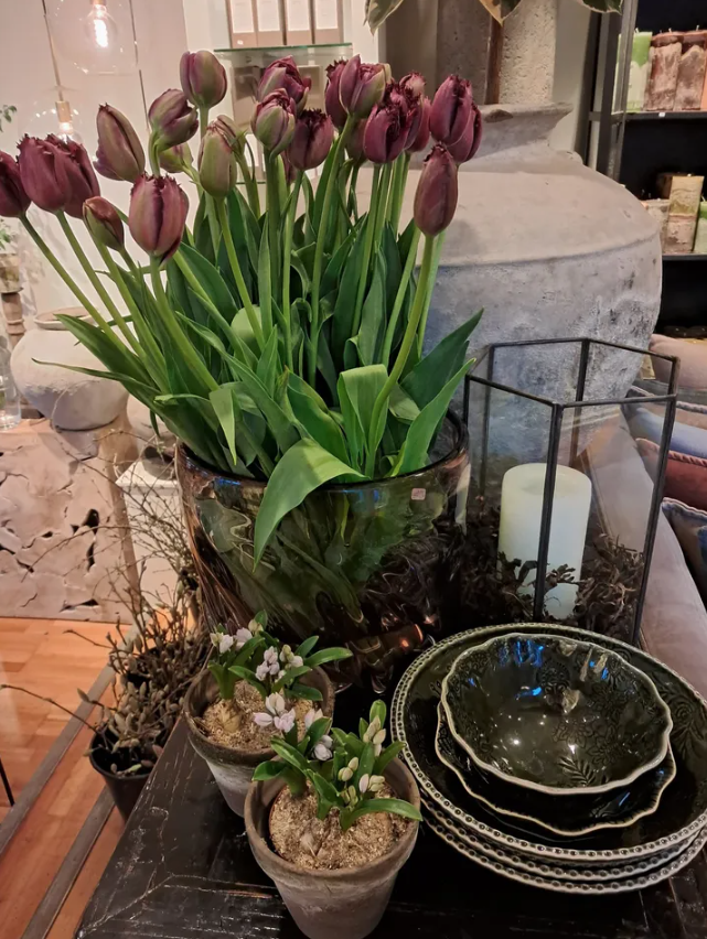 Orangeriet – interiør og stemning