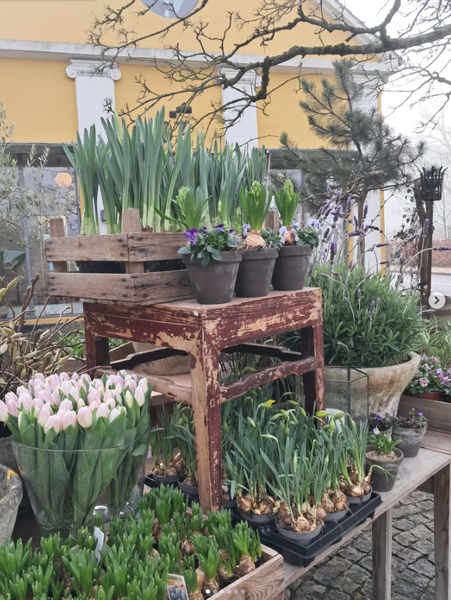 Orangeriet – møbler og indretning